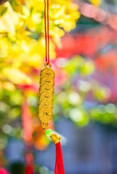 có nên đọc bảng kết quả không
